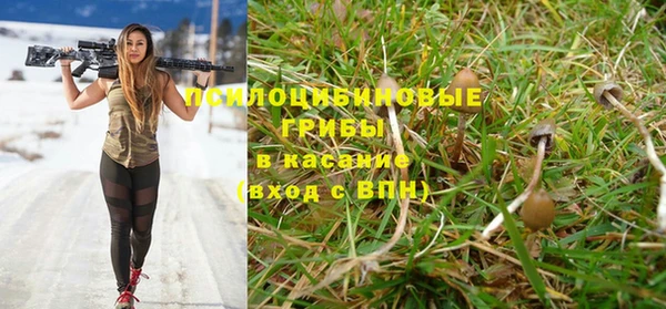 МДПВ Губаха